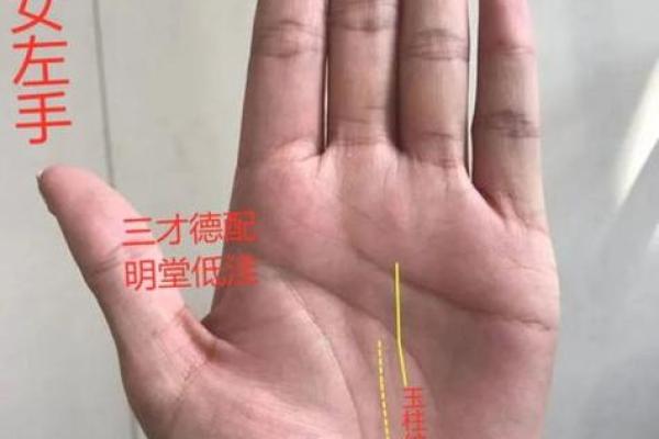手相解析：揭示长寿的秘密与命运之路