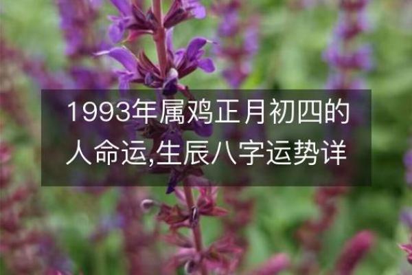 揭开天河水命的秘密：生肖与命理的深刻关联