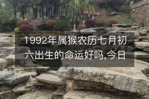揭开天河水命的秘密：生肖与命理的深刻关联