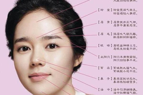揭开命犯桃花的面相之谜：如何透视你的情感轨迹？
