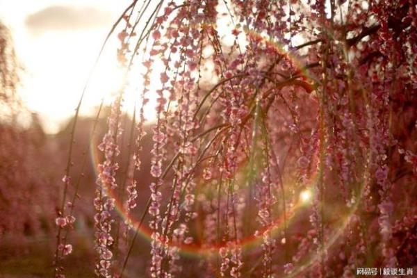 神武WZ命格选择指南：助你在冒险中如虎添翼的秘诀！