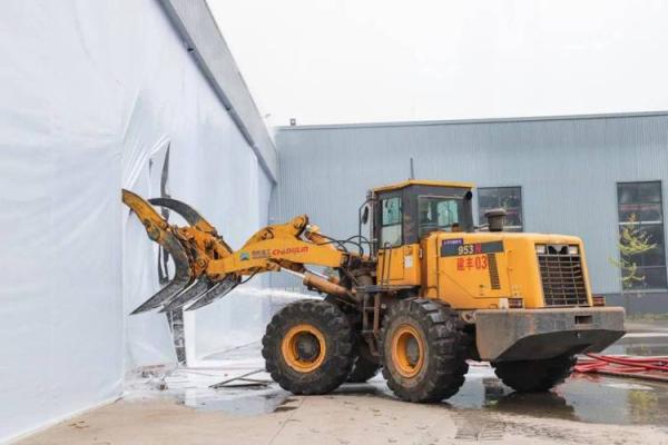 水龙命的人适合学习哪些技能与知识？看完你就懂了！