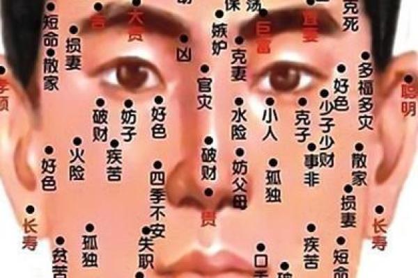 怎样通过面相解析学习命理的适合性与潜能