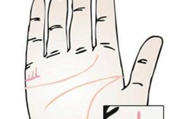 童子命的人生特质与命运解析：探索神秘的命格世界