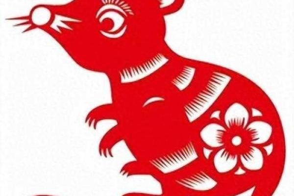 2024年属相揭晓：深入解析鼠年的命理与运势