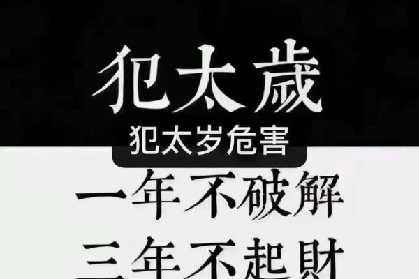 2024年属相揭晓：深入解析鼠年的命理与运势