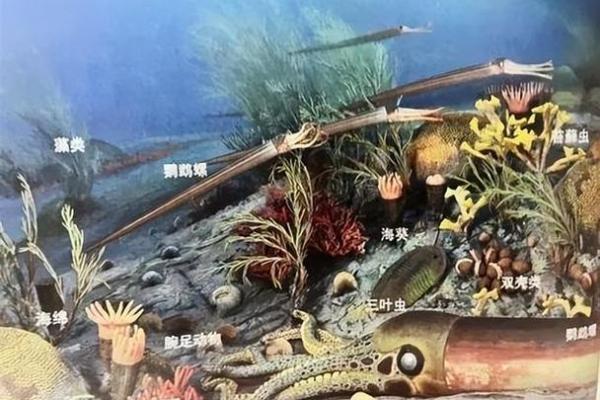 探索地球上最长寿命生物的奥秘与奇迹