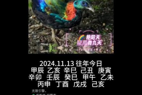 丁卯丁未辛巳庚寅：命理的奥秘与人生的智慧