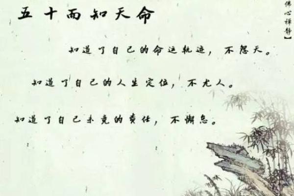 属牛人在44岁时的命运解析与人生启示