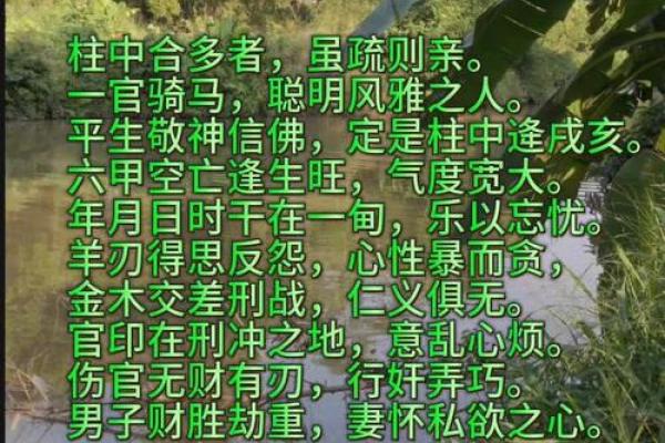 属鼠男孩什么命最好？揭示命理与性格的奥秘
