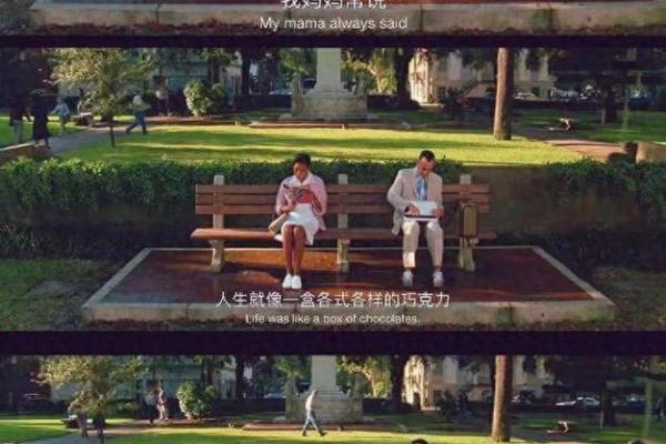 命运的齿轮：当命名改变一切，生活将怎样转变？