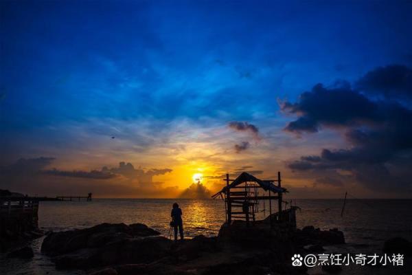 海中木命者适合从事哪些职业？一探究竟！