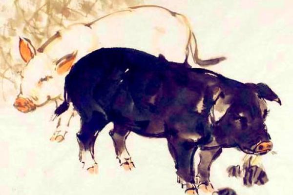 71年属狗人的命运解析：运势、性格与人生指导