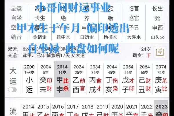 1999年兔年命理解析：性格、运势与生活的完美搭配