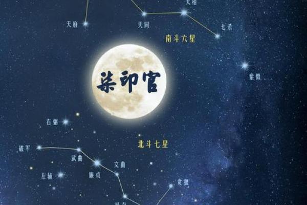 探索紫薇命：揭示命运的特征与奇妙之处