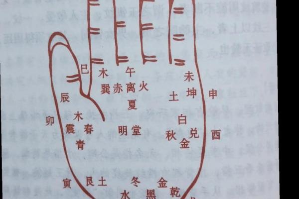 通过手相看命理：揭秘手掌中的命运之谜