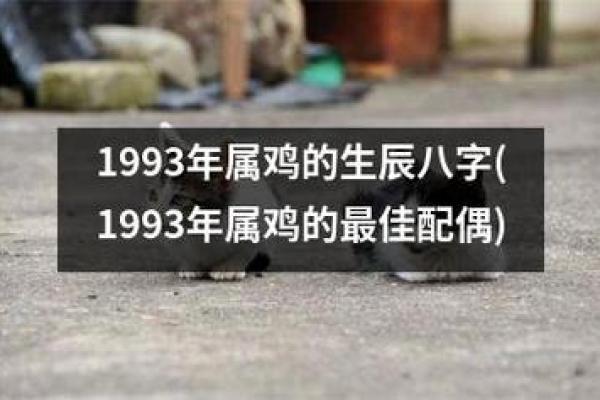 1991年属鸡人的命运与性格分析