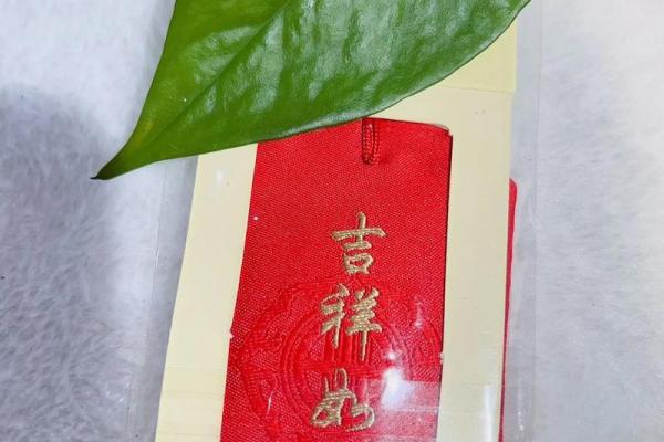 大林木命者佩戴铜钱的神秘与吉祥之道