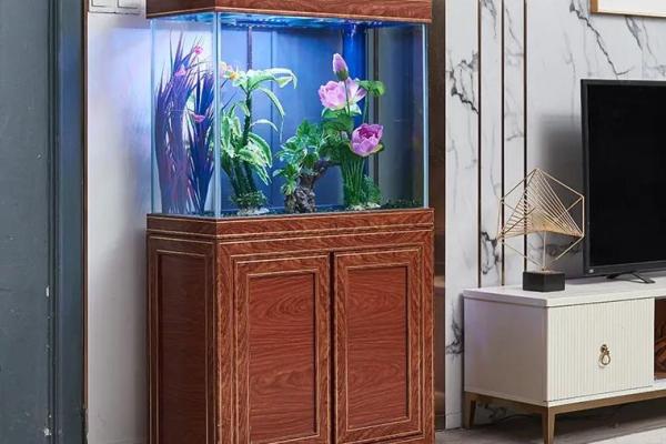 木命之人如何选择适合的鱼缸，助力风水与运势