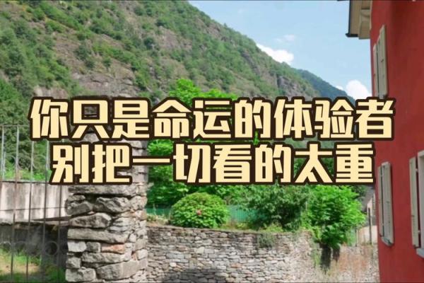 脸大鼻子小，命运的暗示与掌控