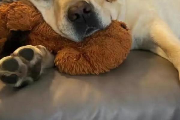 后脑门大的孩子，注定拥有不一样的命运与未来！