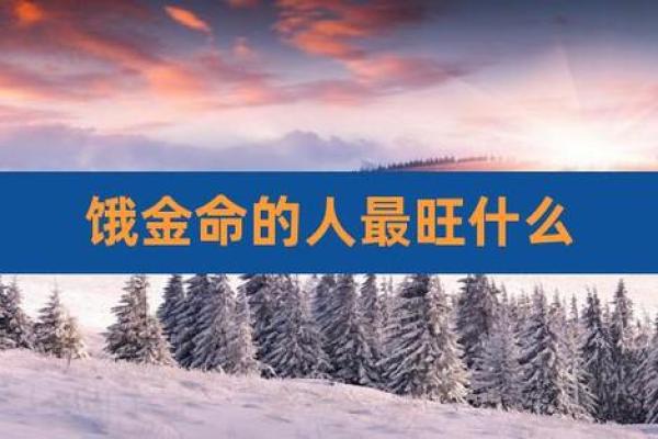 从饿金命的角度看，如何避免带来的健康隐患与毛病