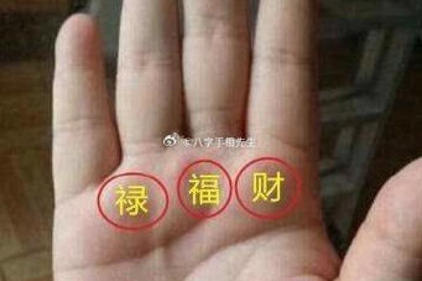 2030年属狗的命运解析：寻求幸福与机遇的道路