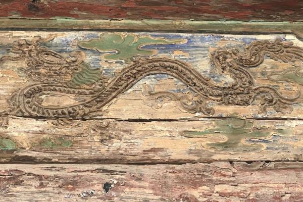 北街九命猫：探索城市神秘而悠久的传奇生命