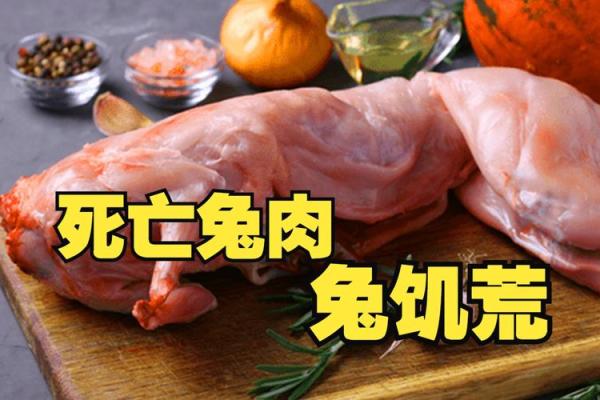 命理与饮食：哪些人不能吃兔肉？