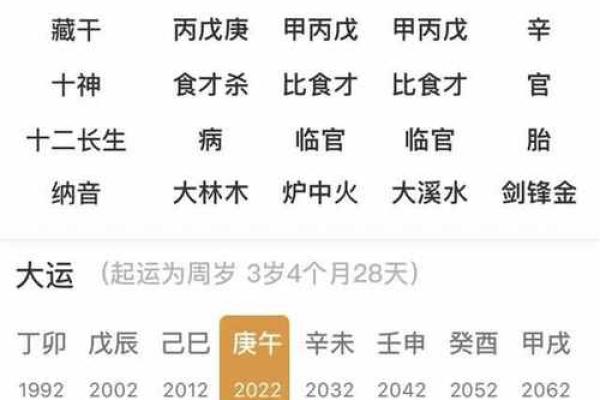 探秘丁卯命格：揭开命理的神秘面纱，了解丁卯人特质与命运轨迹！