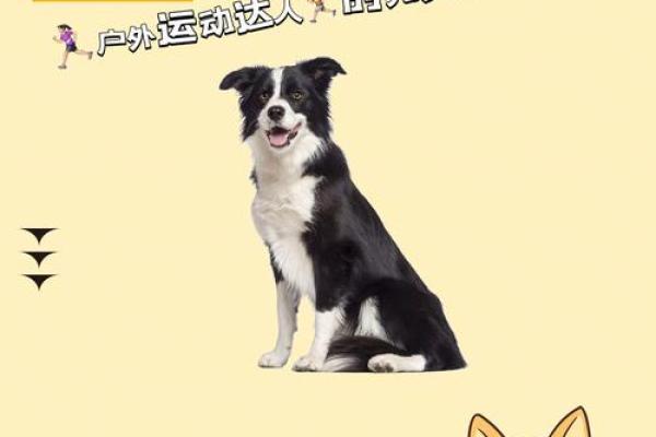 山头火命与理想伴侣的完美契合：探索婚配之道