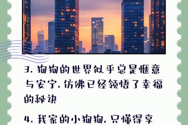 揭示女人命格特点：在命运中找到自我与幸福的秘诀