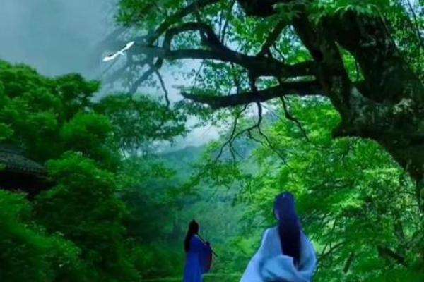 《1988年命卦解析：探秘这一年的命运之旅》