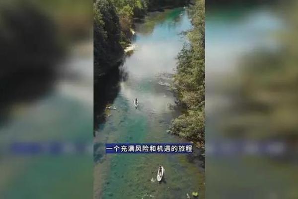 探寻属鸡31岁命理：揭示你的命运与机遇之路！