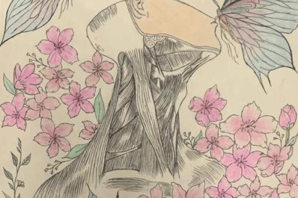 凤凰转世：揭开命格的神秘面纱，探索再生的奥秘与意义