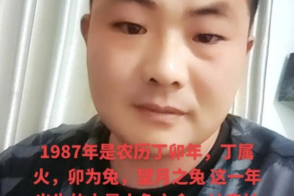 1951年兔子命的命运与人生启示