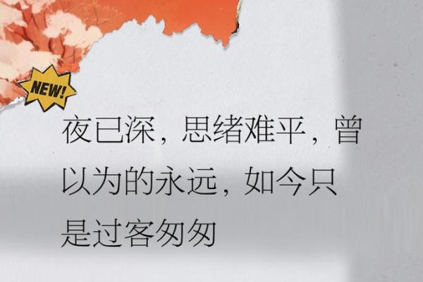 心口窝的深度与命运之间的关联探秘