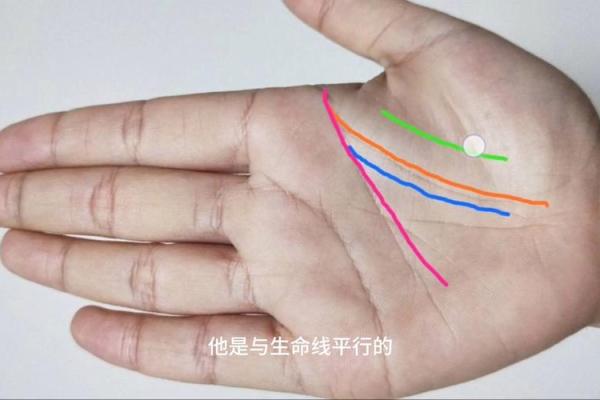 命纹线短的神秘含义与人生发展解析