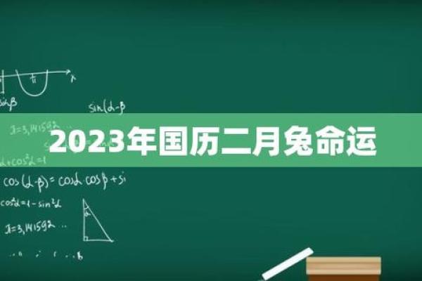 兔年出生的命运揭秘：如何解读你的命理与性格特征
