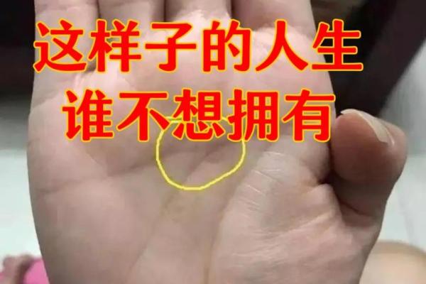 透过手相看幸福命，解锁美丽人生的秘密！