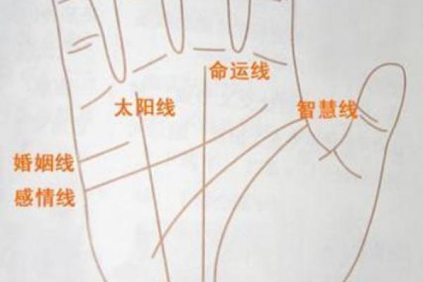 命理揭秘：掌握手掌横纹的奥秘与人生指引