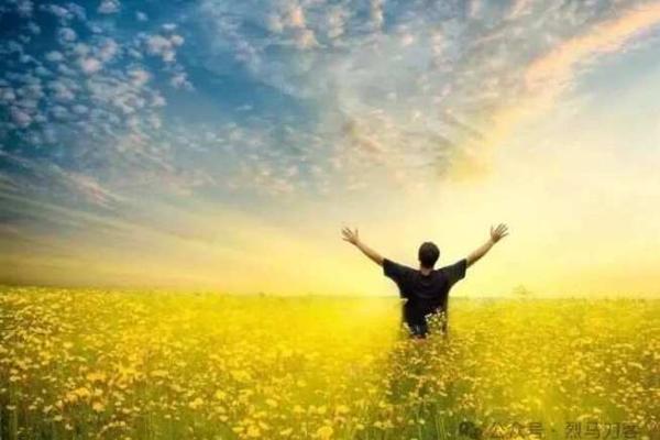 44岁的大龙:命运解析与人生智慧的深思 44岁的大龙:命运解析与人生智慧的深思