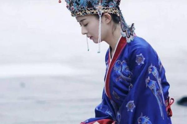 浩命夫人的神秘世界：权力与荣耀的背后故事