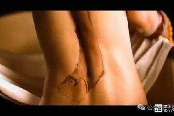 2013腊月十五:命运交织的日子与生活的启示 2013腊月十五:命运交织的日子与生活的启示