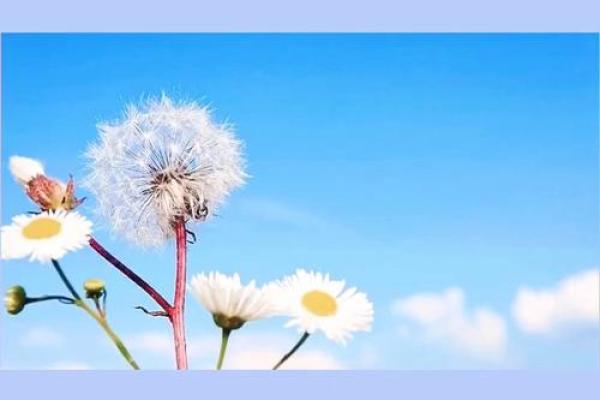 年年有余，五光十色的盛宴人生！