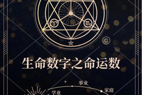 1974的命理解析：揭示你的生命密码与未来运势