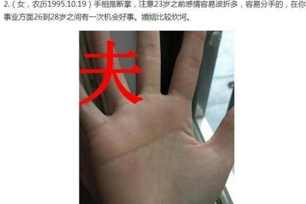 命硬的人情感路上的坎坷与成长：追寻爱的智慧之旅