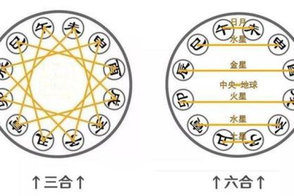 1996年出生的生肖与命理解析，让我们一起探秘属鼠的神秘人生！