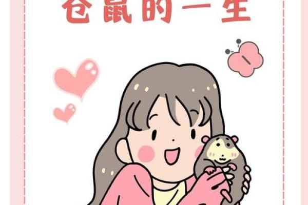 探秘仓鼠长寿的秘密：如何让你的仓鼠活得更久更健康