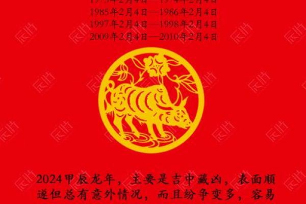 兔子的命运：数字与生肖兔的神秘联系